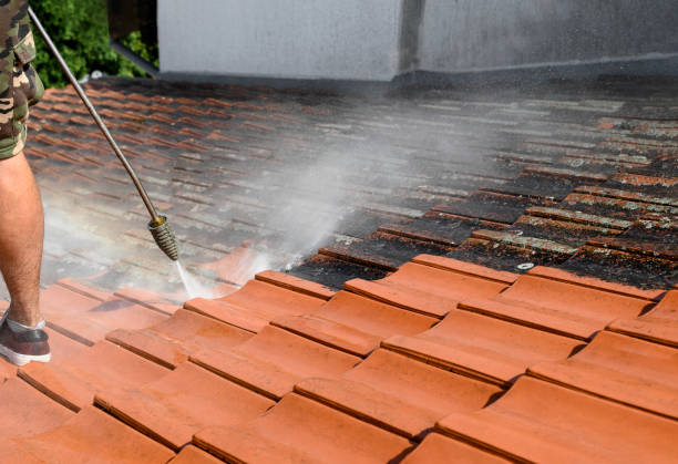 Best Power Washing Near Me  in Lucedale, MS